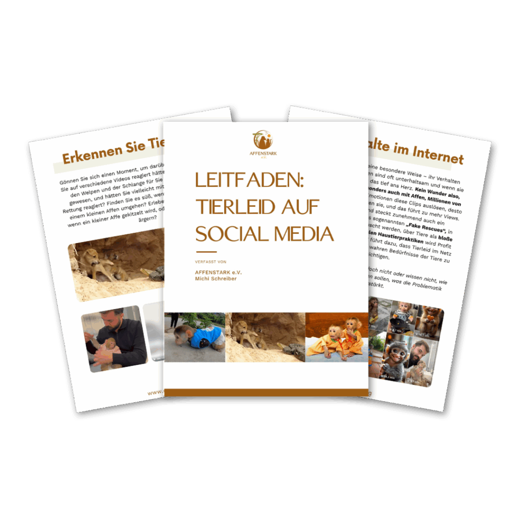 Tierleid auf Social Media
